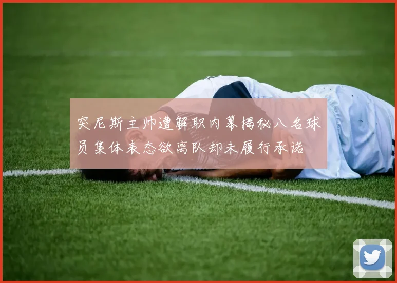 突尼斯主帅遭解职内幕揭秘八名球员集体表态欲离队却未履行承诺
